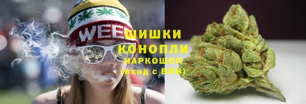 молекула духа Зеленодольск