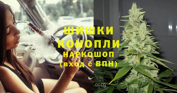 PSILOCYBIN Инта
