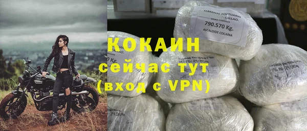 PSILOCYBIN Инта