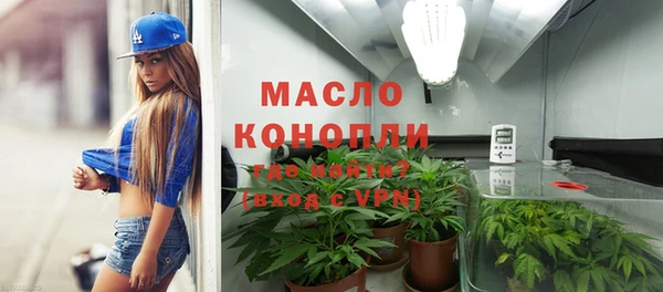 молекула духа Зеленодольск