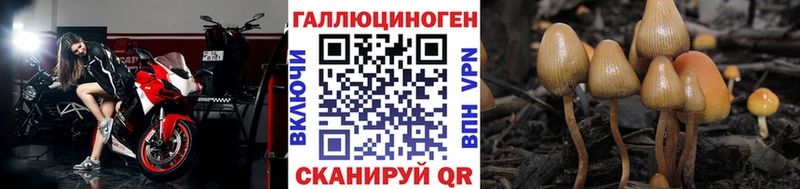 как найти наркотики Исилькуль Галлюциногенные грибы прущие грибы
